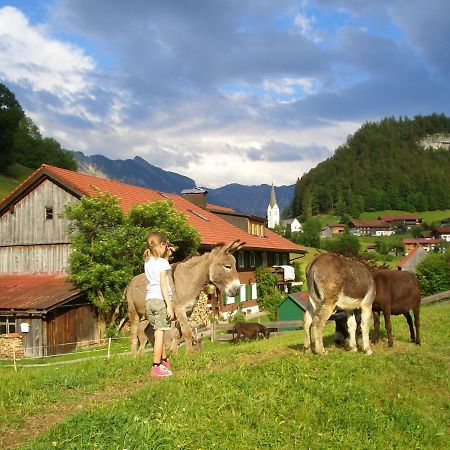 Haus Willi Lejlighed Oberstdorf Eksteriør billede